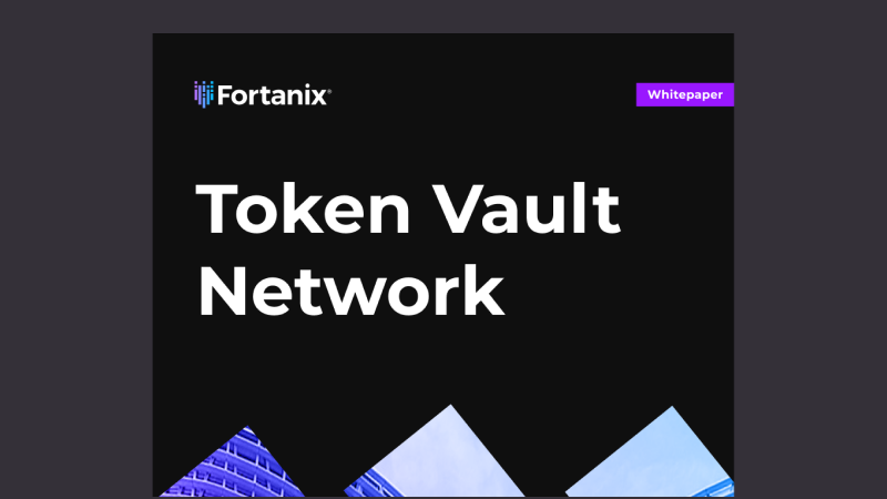 Token Vault Network 